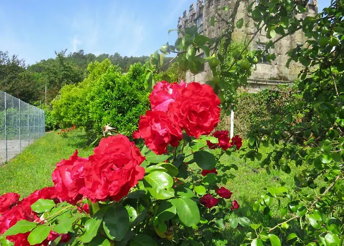 Casa Da Eira Lantgård *